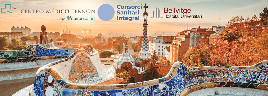 ESSO Advanced Course on the Treatment of Peritoneal Surface Malignancy
